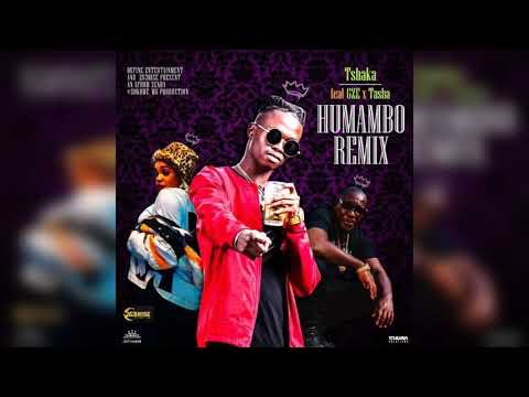 Tshaka ft GZE & Tashamiswa - Humambo (remix) prod by Afrow Zenda of Sokowe MG