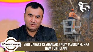 Endi daraxt kesganlar jinoiy javobgarlikka ham tortilyapti | O'ZIMIZNING GAP
