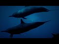Kae Tempest S Future Visions Of Our Planet