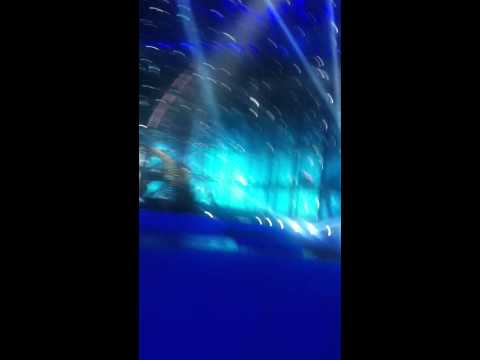 Tick Tock live from B&W Hallerne Ukraine Mariya Yaremchuk