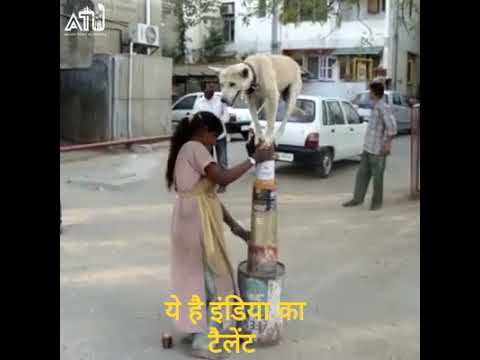 DEKHKAR HAIRAAN HO JAOGE KE DOG BHI AISE KAR SAKTA HAI