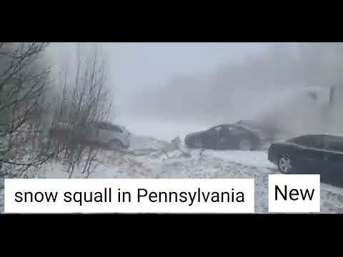 snow squall in Pennsylvania. #snow #snowfall #pennsylvania #cars