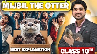 6. Mijbil the Otter / Fog