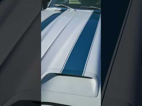 1969 Pontiac Firebird Trans Am (CC-1882518) for sale in Hilton, New York