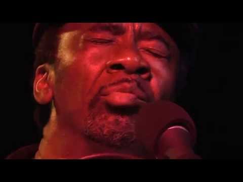 Terry Harmonica Bean -Mambo -Mississippi Style
