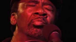 Terry Harmonica Bean -Mambo -Mississippi Style