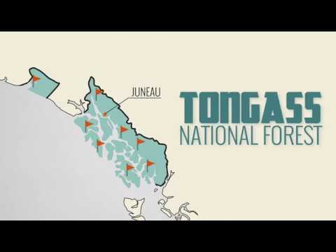 Alaska’s Tongass National Forest and the Roadless Rule, Explained