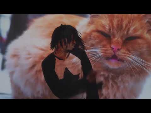 DC The Don - dirty little secret 