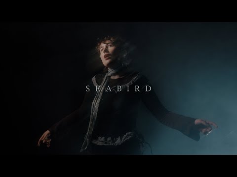 deary - Seabird (Official Video)