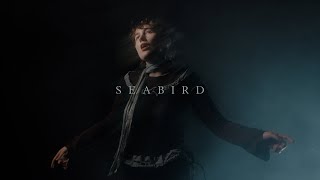 Download lagu deary - Seabird mp3