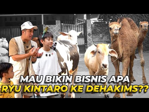 RYU KINTARO PENGEN BIKIN BISNIS APA KE DEHAKIMS..?