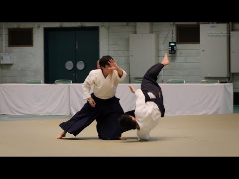 Aikido - Namba Hiroyuki - 55th All Japan Aikido Demonstration