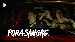 'Pura sangre' en RTVCPlay | Trailer