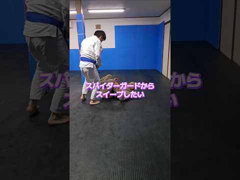 #スパイダーガード #スイープ #ブラジリアン柔術 #bjj #jiujitsu #格闘技 #北海道 #オホーツク #北見市