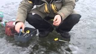 Все о ловле леща по первому льду