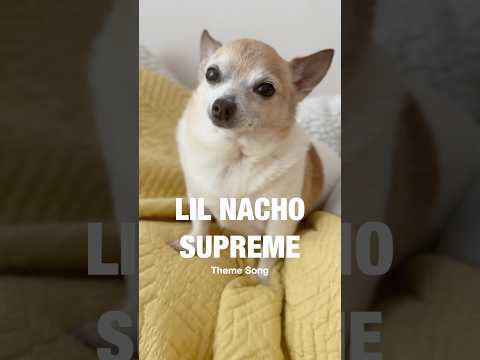 Lil Nacho Supreme Theme Song (Puppy Songs)