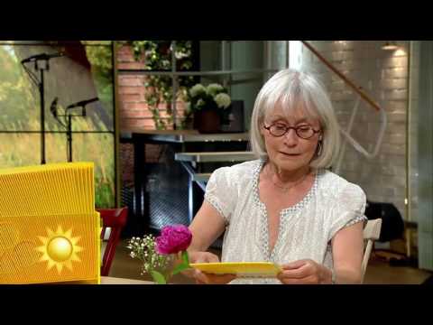 "Det är inte klokt!!" - Nyhetsmorgon (TV4)