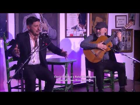 David Palomar & Rafael Rodríguez - Bulerías
