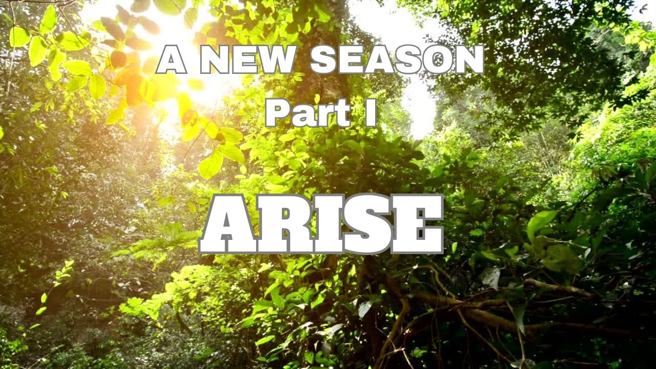 A New Season, Part 1: ARISE