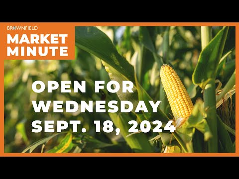 Soybeans and corn are up early | Opening Market Minute