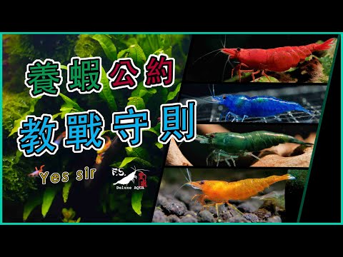 做生意不能養蝦