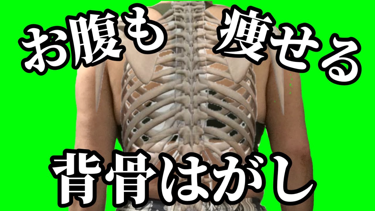 【50代60代】背骨の老化は太る原因‼️背中を動かせば今すぐ痩せます✨