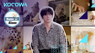 Take a tour through Jang Woo Young&#39;s house [Home Alone Ep 364]