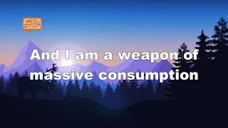 Lily Allen - The Fear (Lyrics)