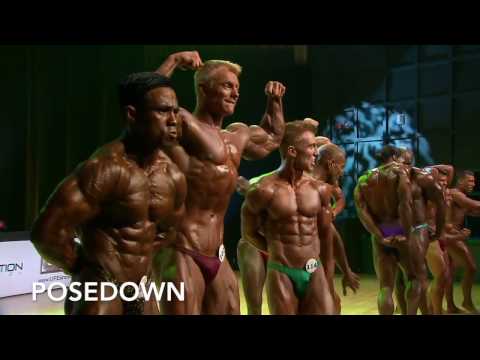UFE Bodybuilding