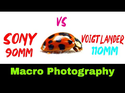 Video thumbnail for Video Review 3
