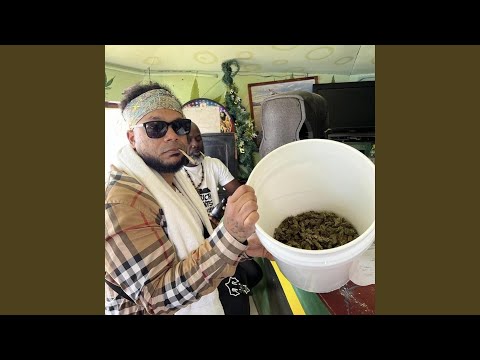 Birth Of A Winner, Pt. 2