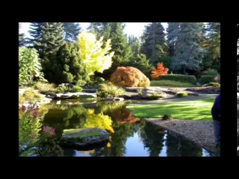 Mix para Adorar y Orar-New Wine Vol. 1 Colección