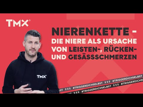 NIERENKETTE 2 - Die Niere als Ursache von Leisten, Rücken und Gesäßschmerzen