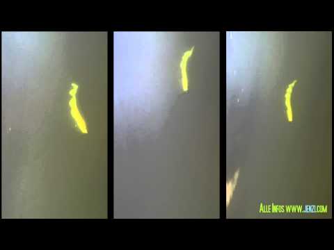 JENZI 2015 - Snaketail Twister | 11cm