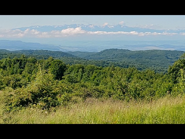 Live webcam view of Paisaje de Montaña de Săcărâmb