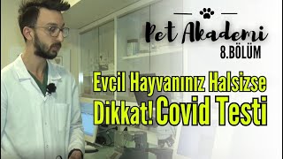 Pet Akademi I 8. Bölüm