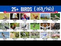 Birds | ಹಕ್ಕಿಗಳು | spoken English Kannada | vocabulary |
