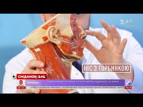 Все про септопластику