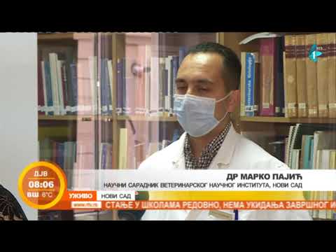 Bolji uslovi za uzgoj pilića