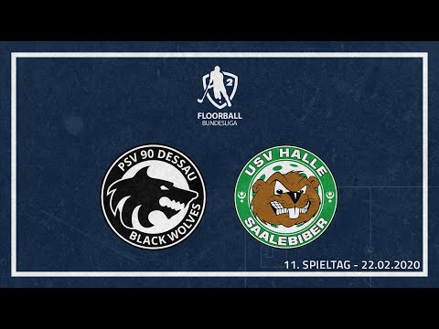2. FBL 2019/20 | 11. Spieltag: PSV 90 Dessau - USV Halle Saalebiber