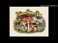 Allman Brothers Band: Heart of Stone 3.20.03 [audio]