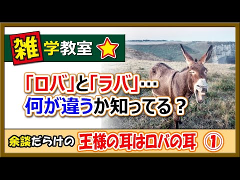 ロバについて詳しく解説