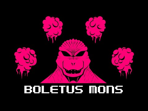 Video thumbnail for Boletus Mons
