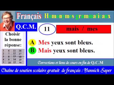 Exercices sur les homonymes grammaticaux français usuels CM1 CM2