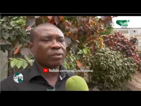 LE JOURNAL 19H50 du Jeudi 20/06/2019 - Canal 2 International