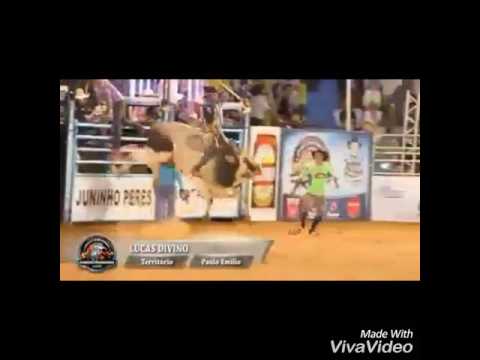 Melhores montarias de Lucas Divino