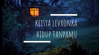 Download lagu Keisya Levronka - Hidup Tanpamu (lirik vidio) mp3