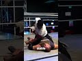 Raja Jackson ATTACKS Syko Stu with 20 Punches to the Face LIVE #RajaJackson
