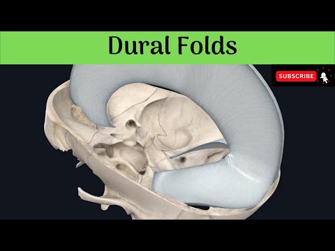 Dural Folds | Falx cerebri | Tentorium cerebelli | Falx cerebelli | Diaphragma sella | Attachments |