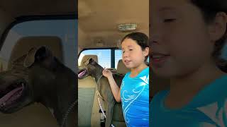 Download lagu August 3, 2022 mp3